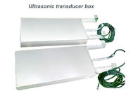 Temizleme Tankı için Dalgıç 40kHz Ultrasonik Dönüştürücüler, Ultrasonik Piezo Dönüştürücü