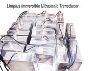 2000W Özel Dalgıç Ultrasonik Temizleyici Endüstriyel temizlik için, Ayarlanabilir Güç